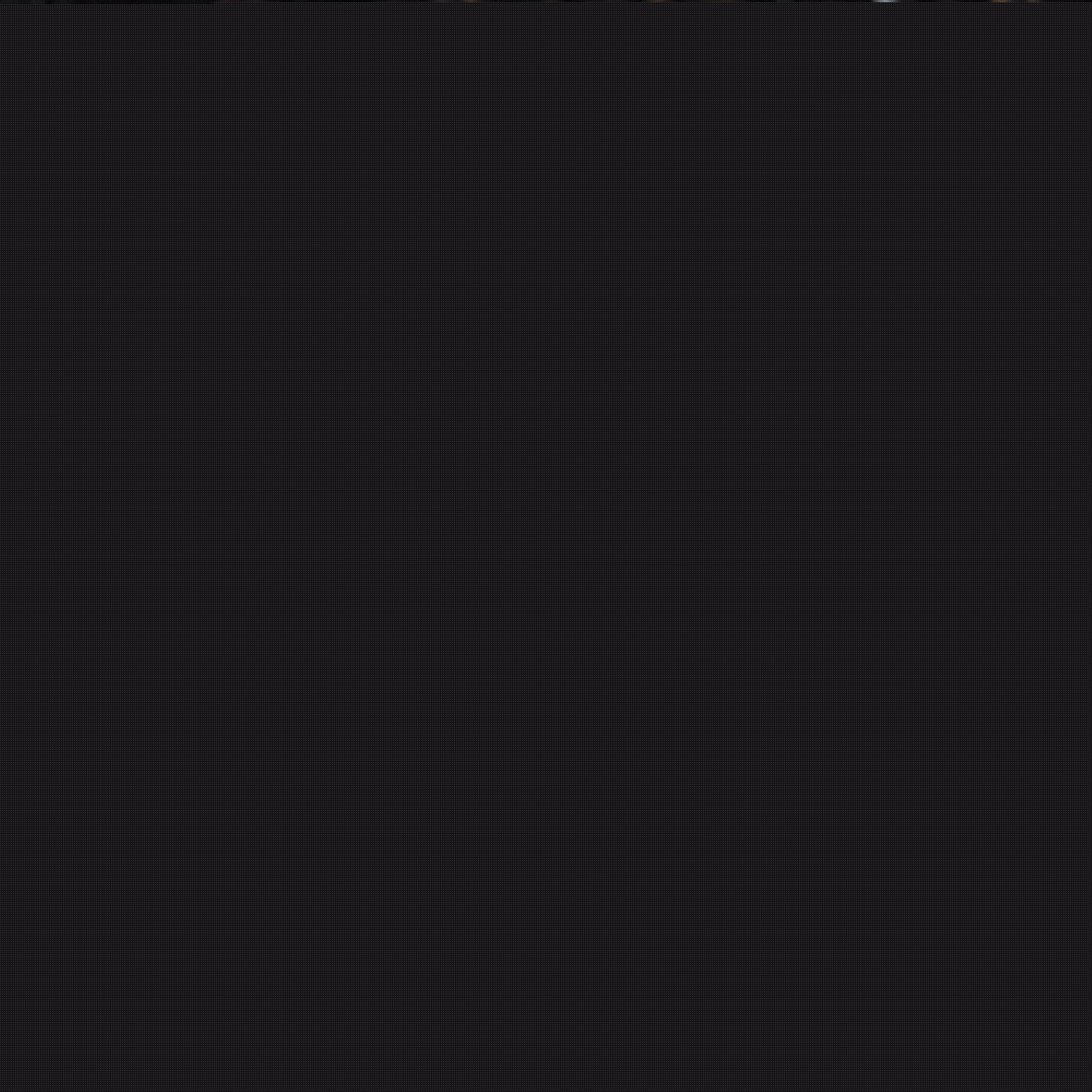 在NBA的